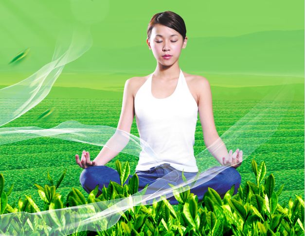 高仿圣卢西亚驾驶证
